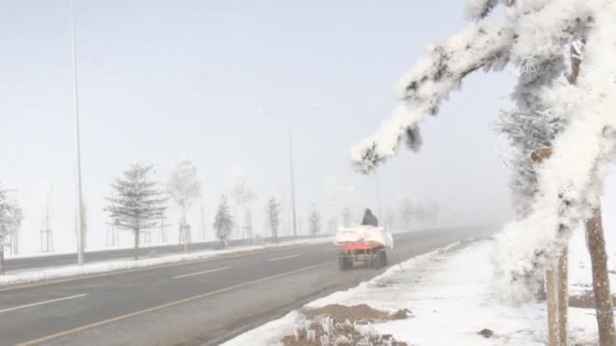 Ardahan da Kış çilesi ve doğal güzellikler bir arada