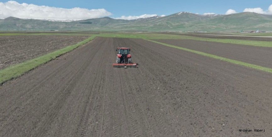 Ardahan'da kışın ardından ekim mesaisi başladı: çiftçiler zamanla yarışıyor