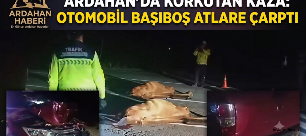 Ardahan'da Korkutan Kaza: Otomobil Başıboş Atlara 