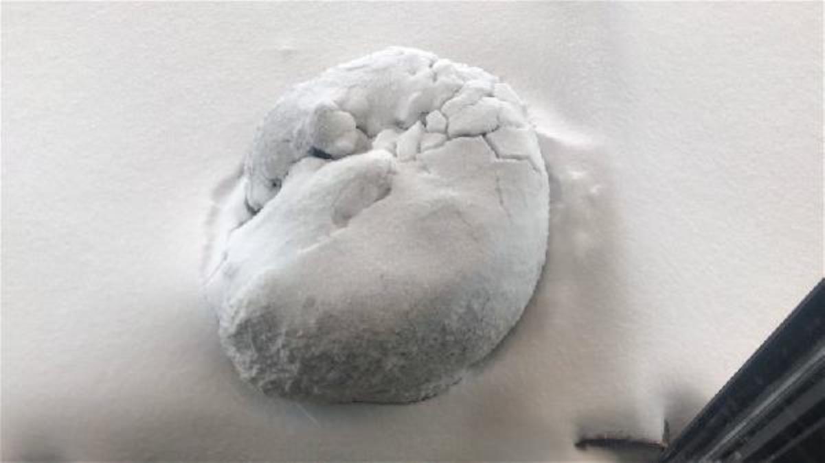 Ardahan da Lapa lapa yağan kar, sokak köpeğine 'örtü' oldu