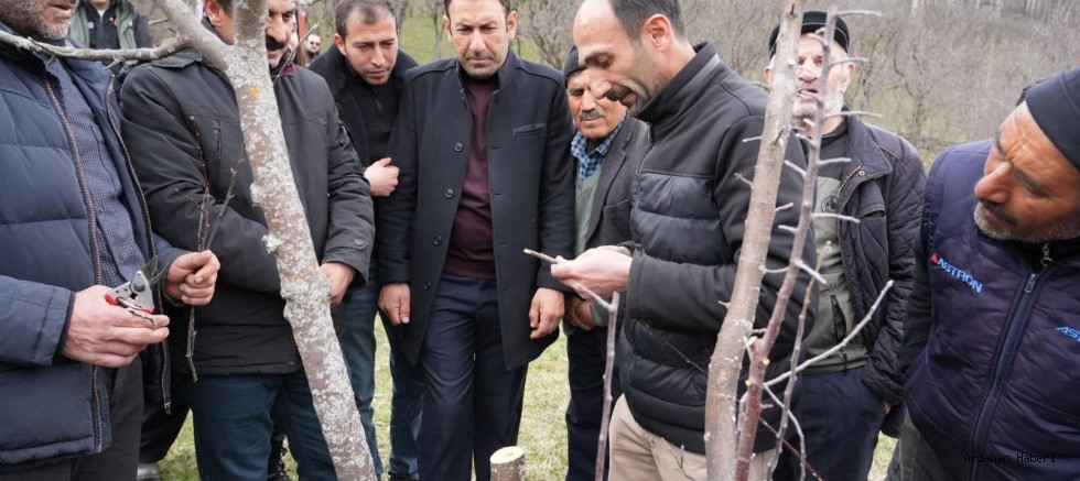 Ardahan’da Meyvecilikte Verim Seferberliği: Üreticilere Aşılama ve Budama Eğitimi