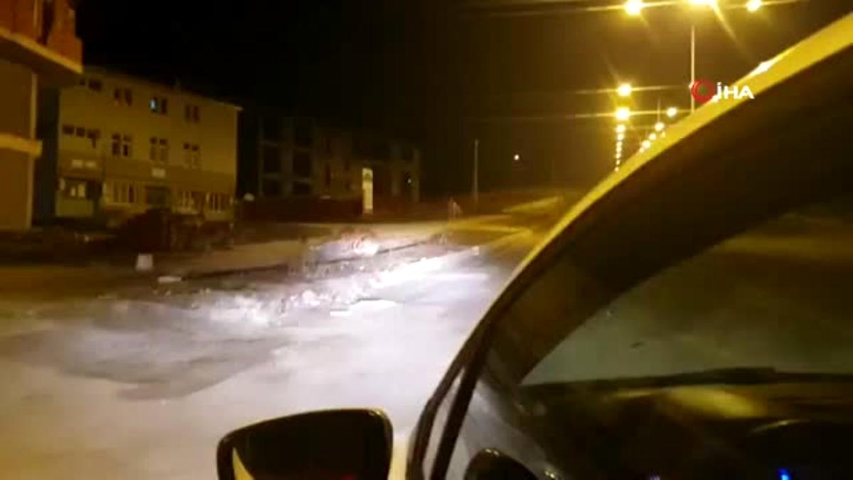 Ardahan da Şehre inen kurt böyle görüntülendi