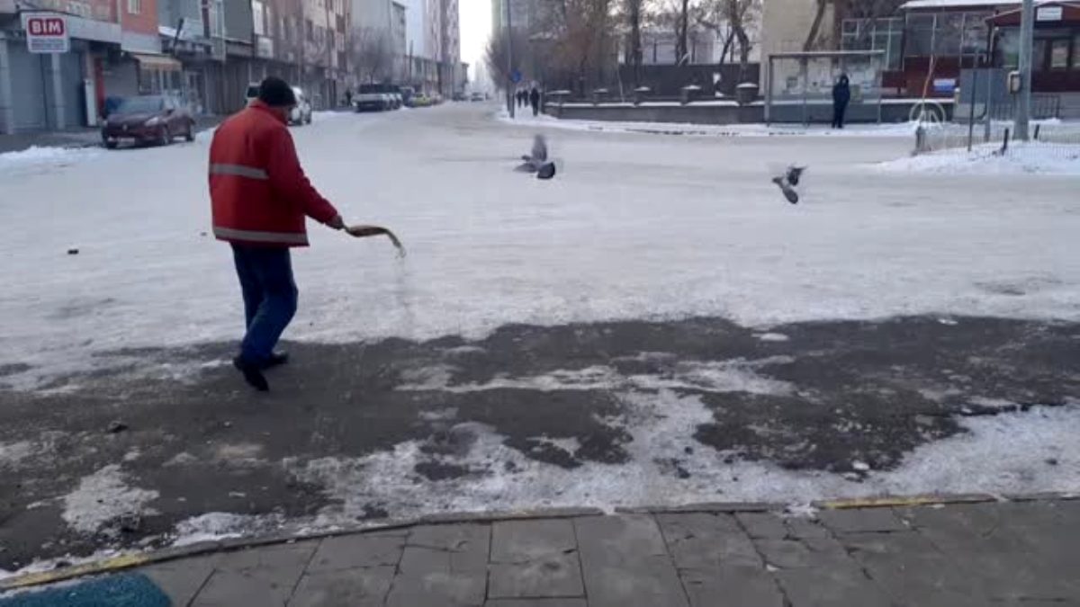 Ardahan da Vatandaşlar yem bulmakta güçlük çeken kuşlara yem bıraktı