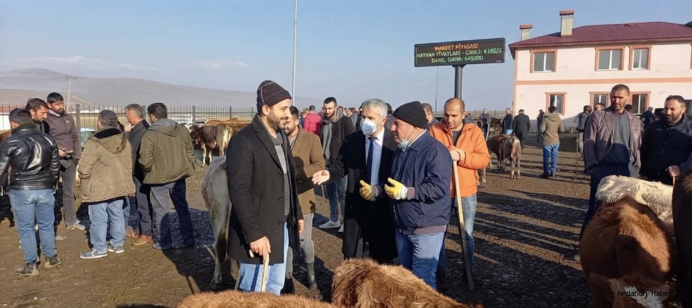 Ardahan Göle'de Şap Hastalığı Alarmı: Hayvan Pazarı Kapatıldı ve Karantina Başlatıldı