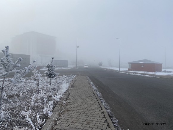 Ardahan Haberi: Ardahan'da sis ve kırağı etkili oldu.