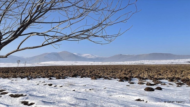 Ardahan Haberi: Ardahan'daki Putka Sazlığı dondu