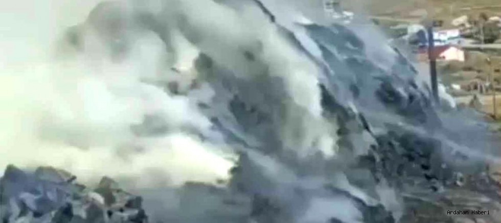 Ardahan Haberi: Damal Seyitören köyünde tezek yığını ve 250 balya ot kül oldu