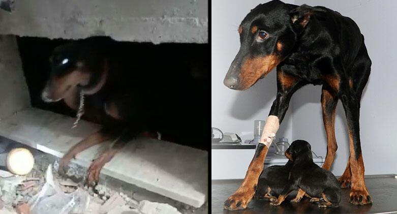 Ardahan Haberi: Enkaz altında doğum yapan Şila, 29’uncu günde sağ kurtarıldı