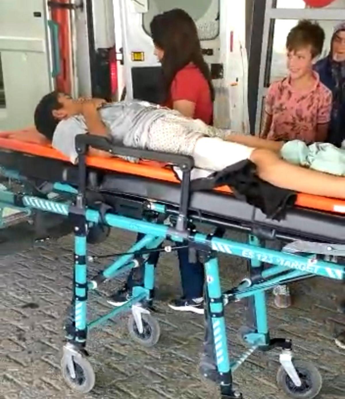 Ardahan Haberi: Horasan da Domuz saldırısına uğrayan çocuk yaralandı