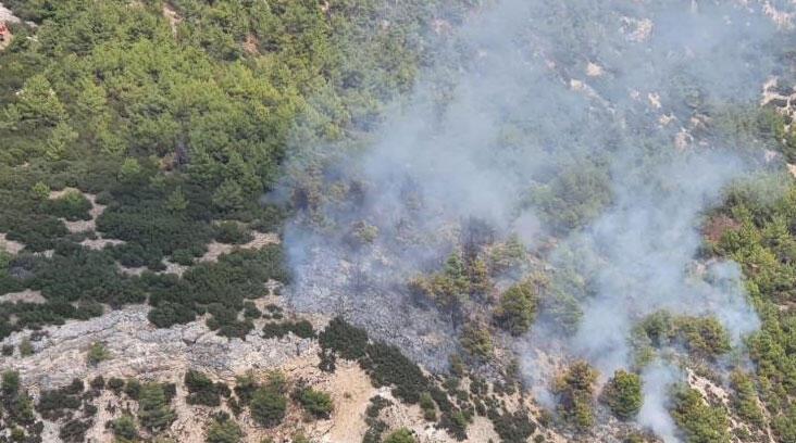 Ardahan Haberi: Manisa'da 10 dönüm orman yandı