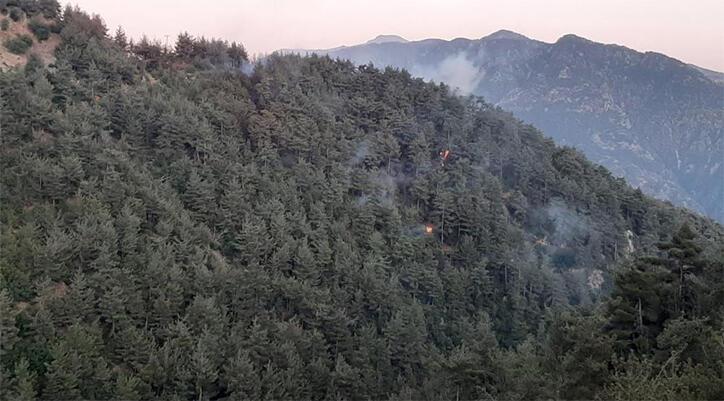 Ardahan Haberi: Öğle saatlerinde başladı! Kahramanmaraş'taki orman yangınında son durum