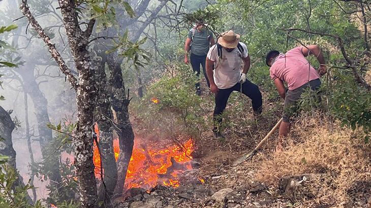Ardahan Haberi: Tunceli'de ormanda örtü yangını söndürüldü