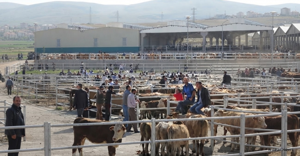 Ardahan Hayvan Pazarı’nda Yeni Dönem: Kurallar Değişti!
