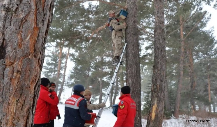 Ardahan Jandarma kuşlar için hazırlanan özel yuvaları ormanlık alanda ağaçlara astı