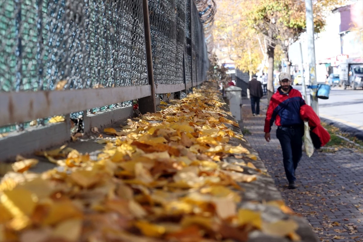 Ardahan kent merkezi sonbahar renklerine büründü