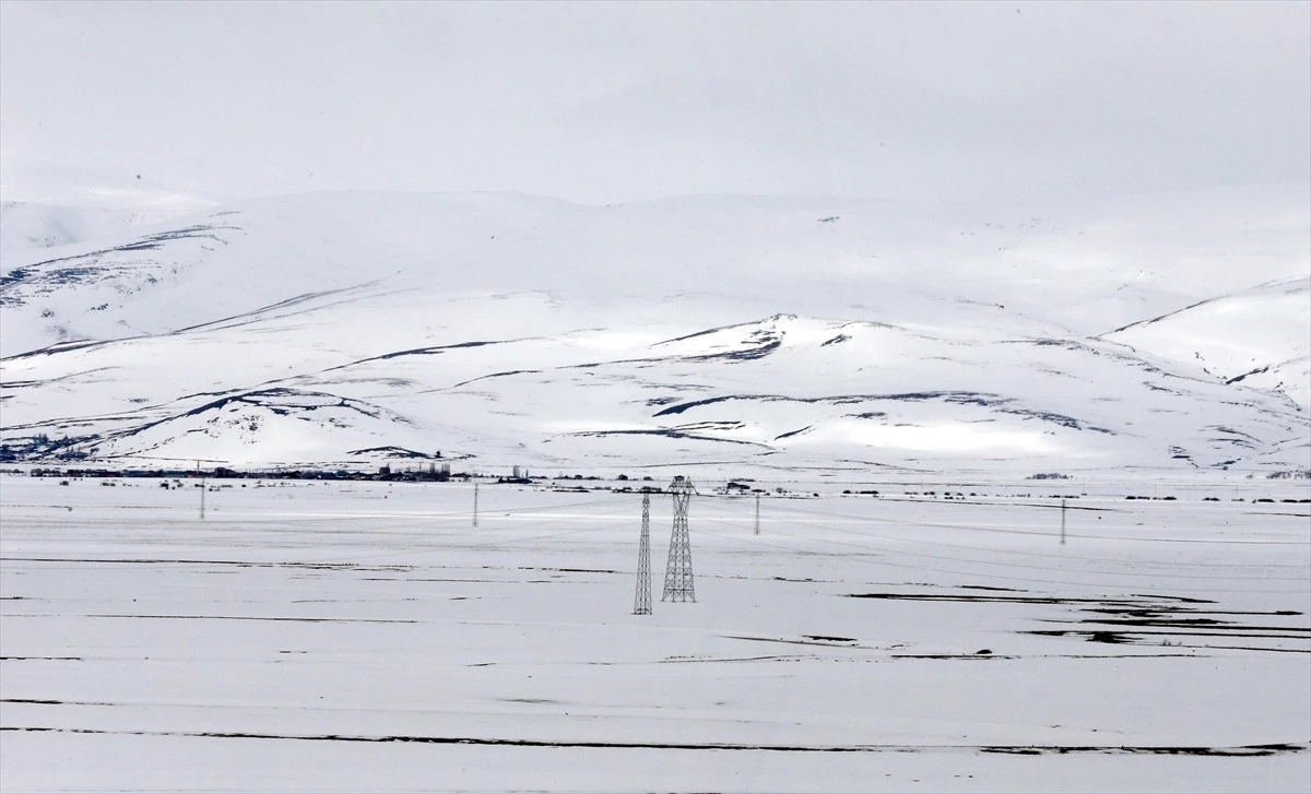 Ardahan ve Kars'ta Kar Yağışı Devam Ediyor