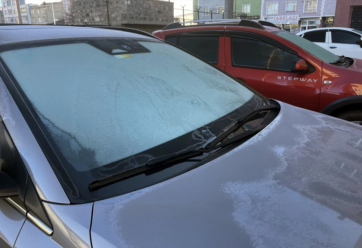 Ardahan ve Kars'ta Soğuk Hava Bitkilere Zarar Verdi