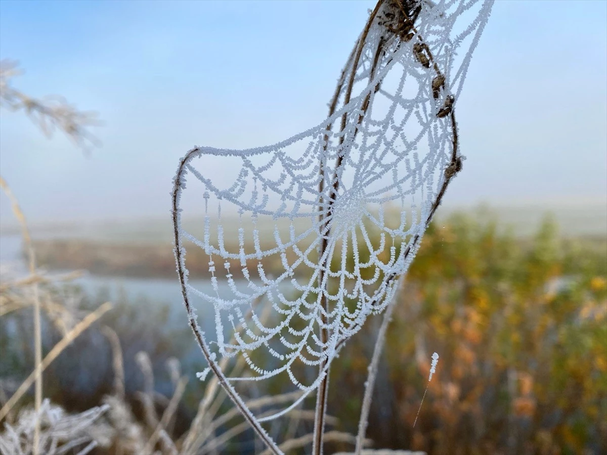 Ardahan ve Kars'ta Soğuk Hava Nedeniyle Kırağı ve Buzlanma
