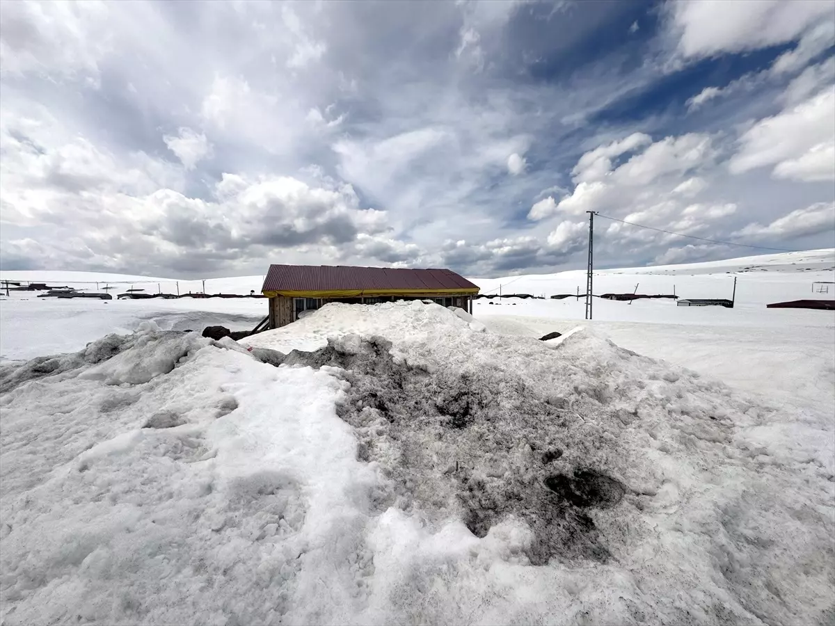 Ardahan Yaylalarında İlkbahar Kışı Yaşanıyor