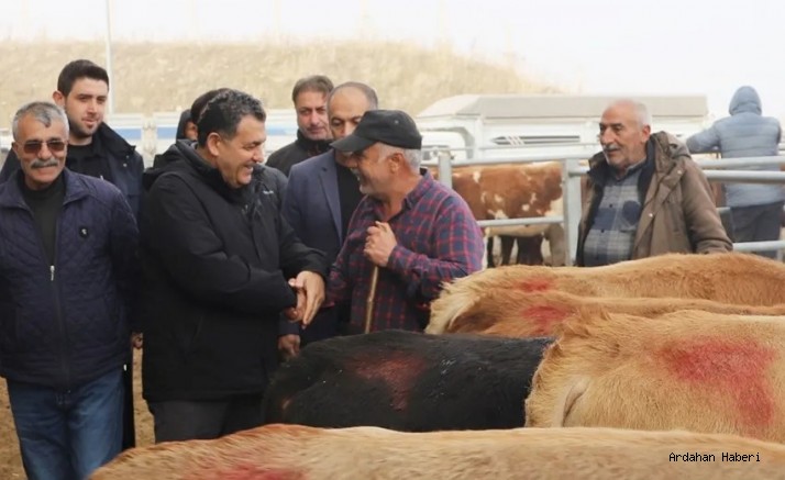 Ardahan yaylalarından pazara: kurbanlıklar görücüye çıktı