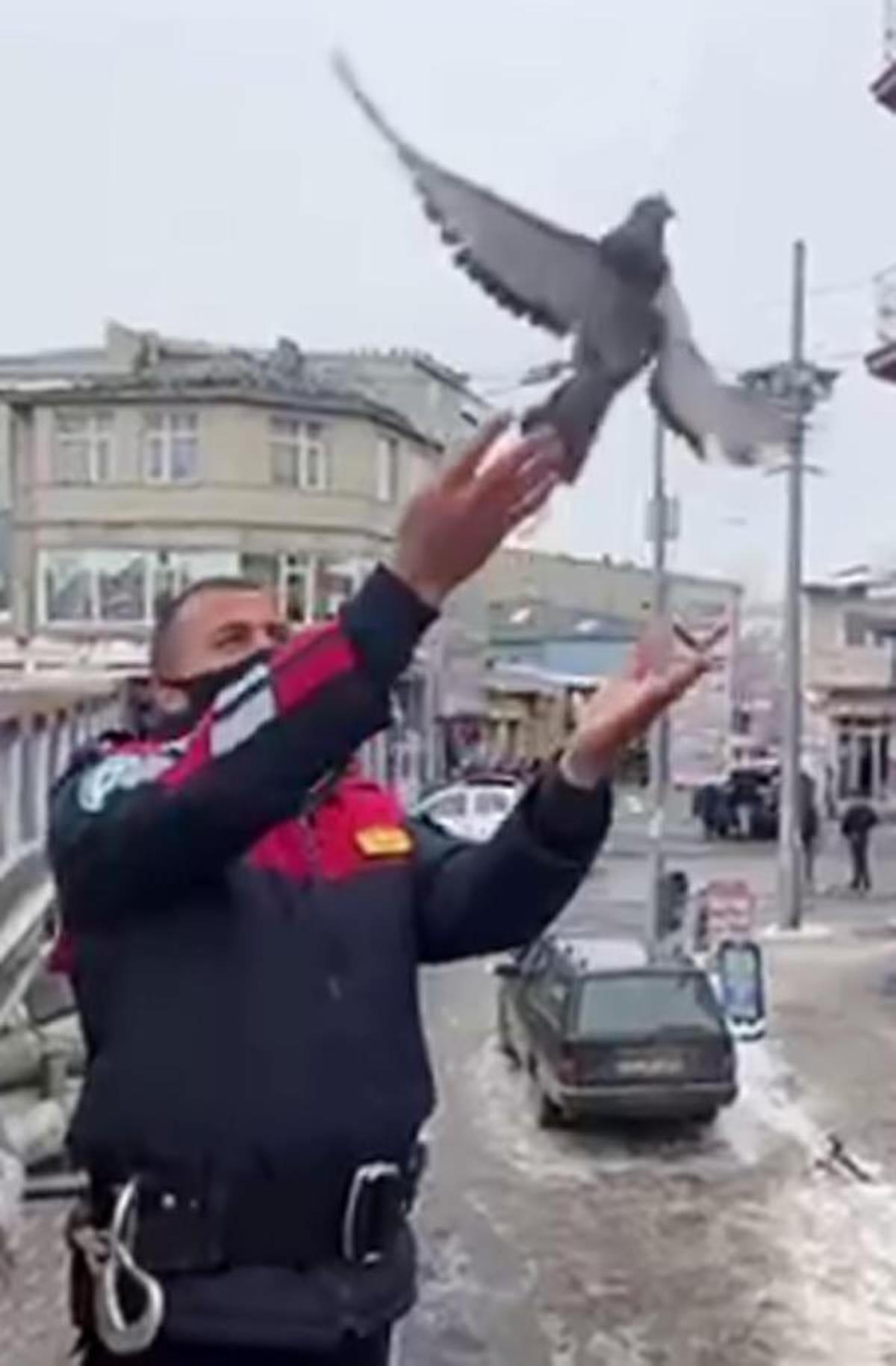 Ardahan'da ağaçtaki ipe dolanan güvercini itfaiye kurtardı