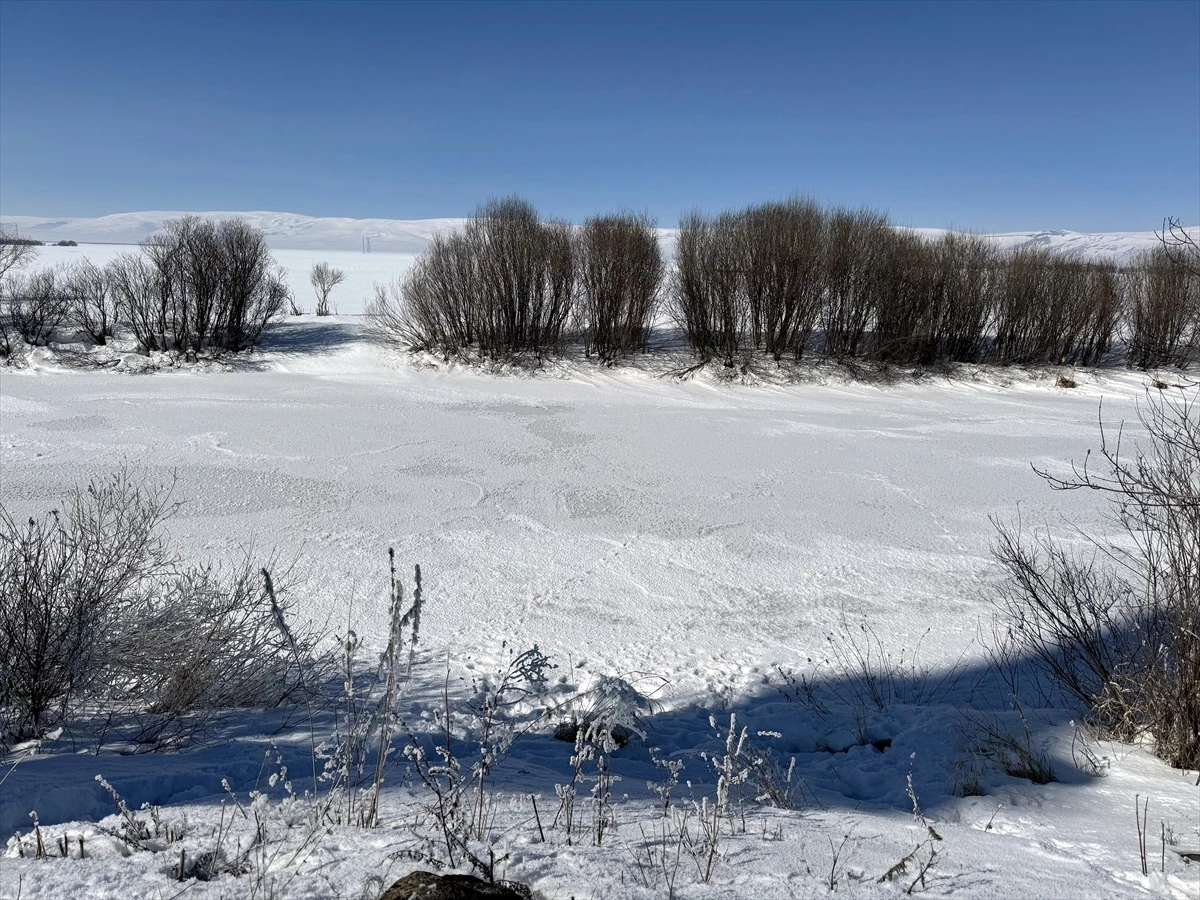 Ardahan'da Dondurucu Soğuklar Hayatı Olumsuz Etkiliyor