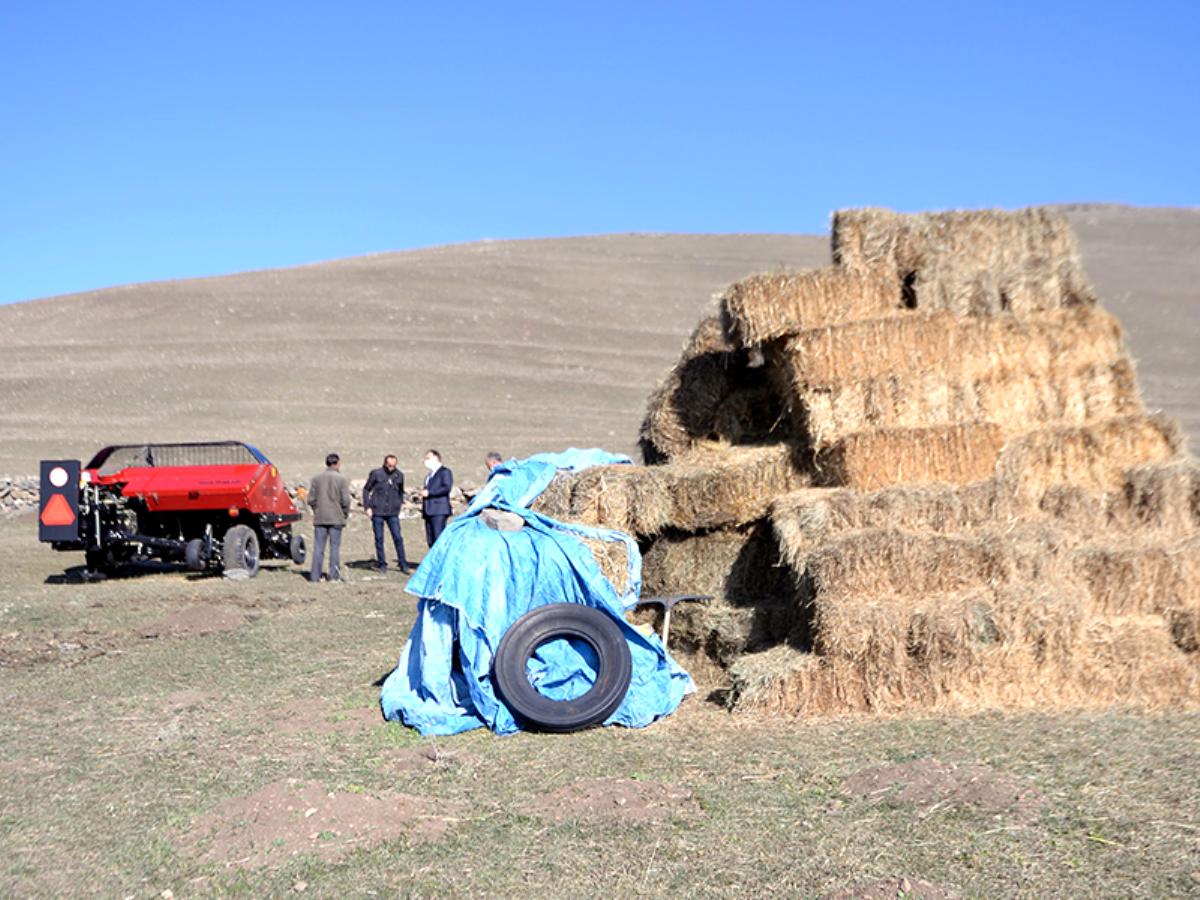 Ardahan’da hayvancılık yapan üreticiler kış hazırlığı telaşında.