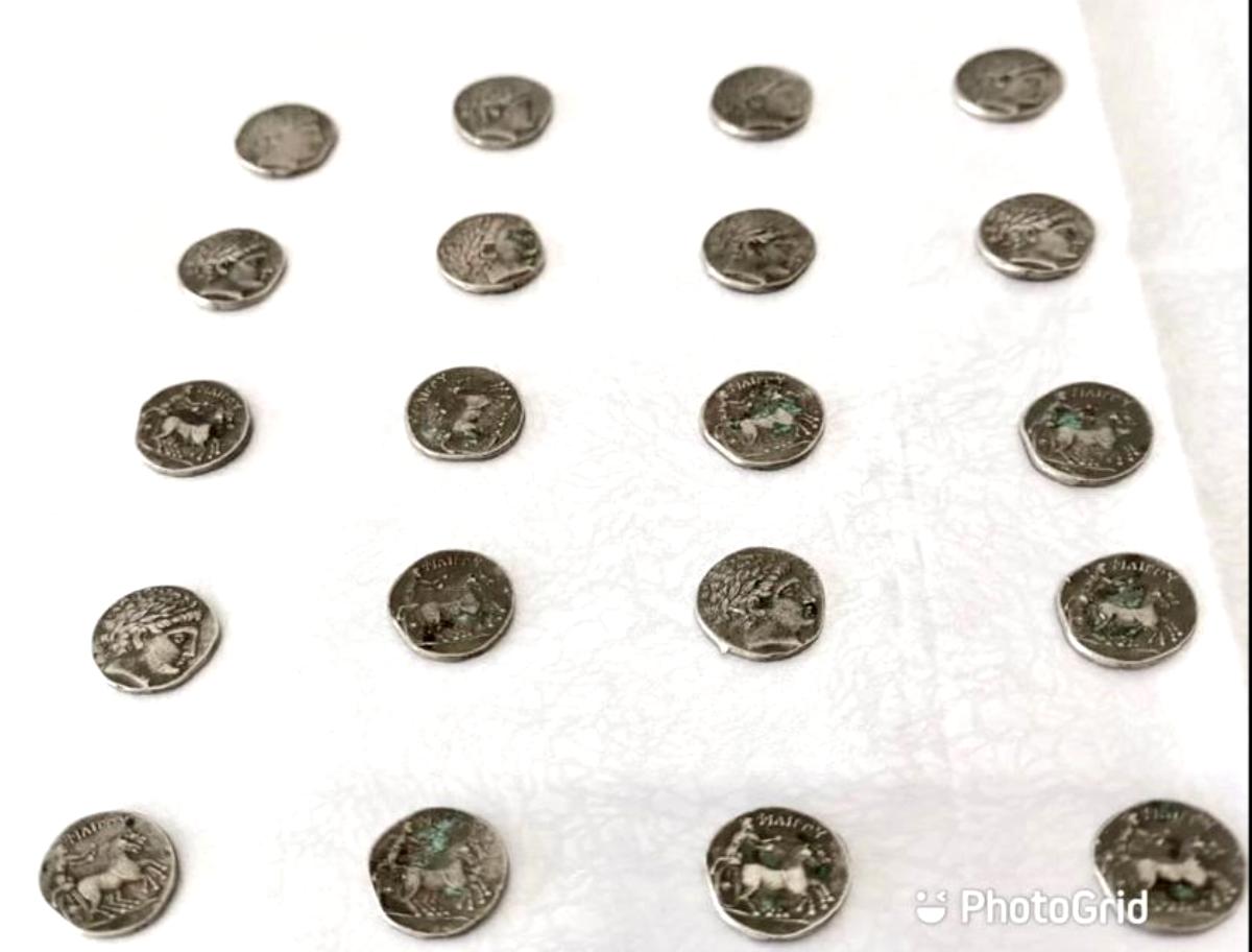 Ardahan'da Helenistik Dönem'e ait 20 sikke ele geçirildi
