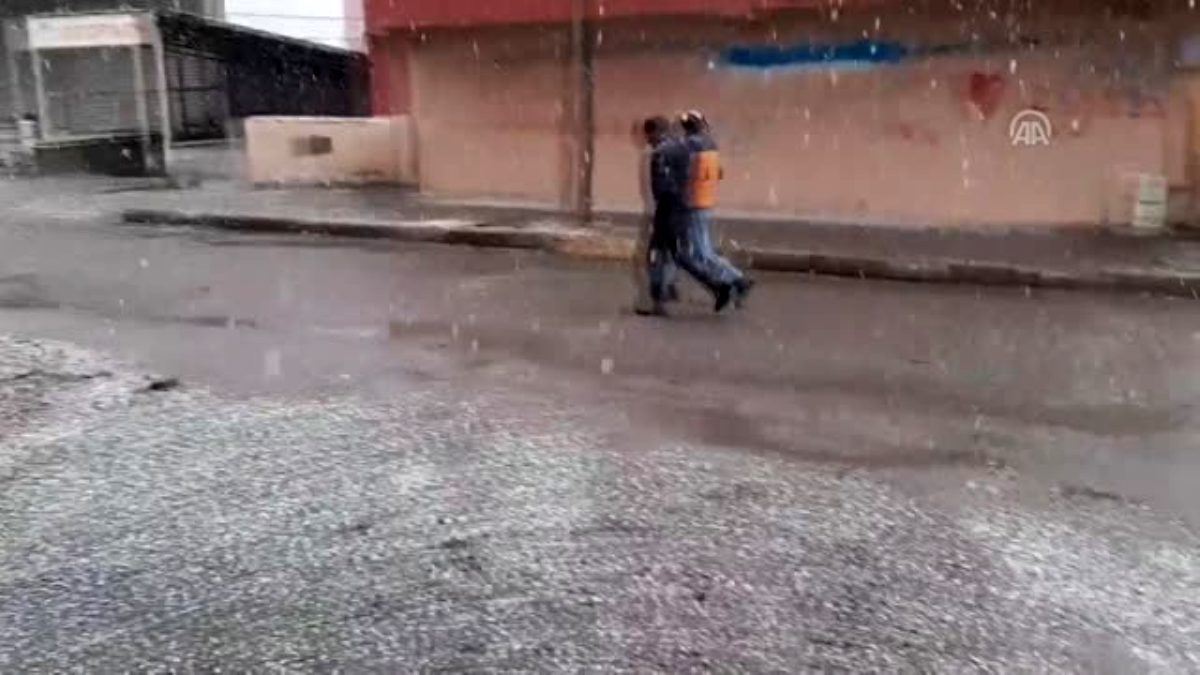 Ardahan'da kar ve fırtına etkili oluyor