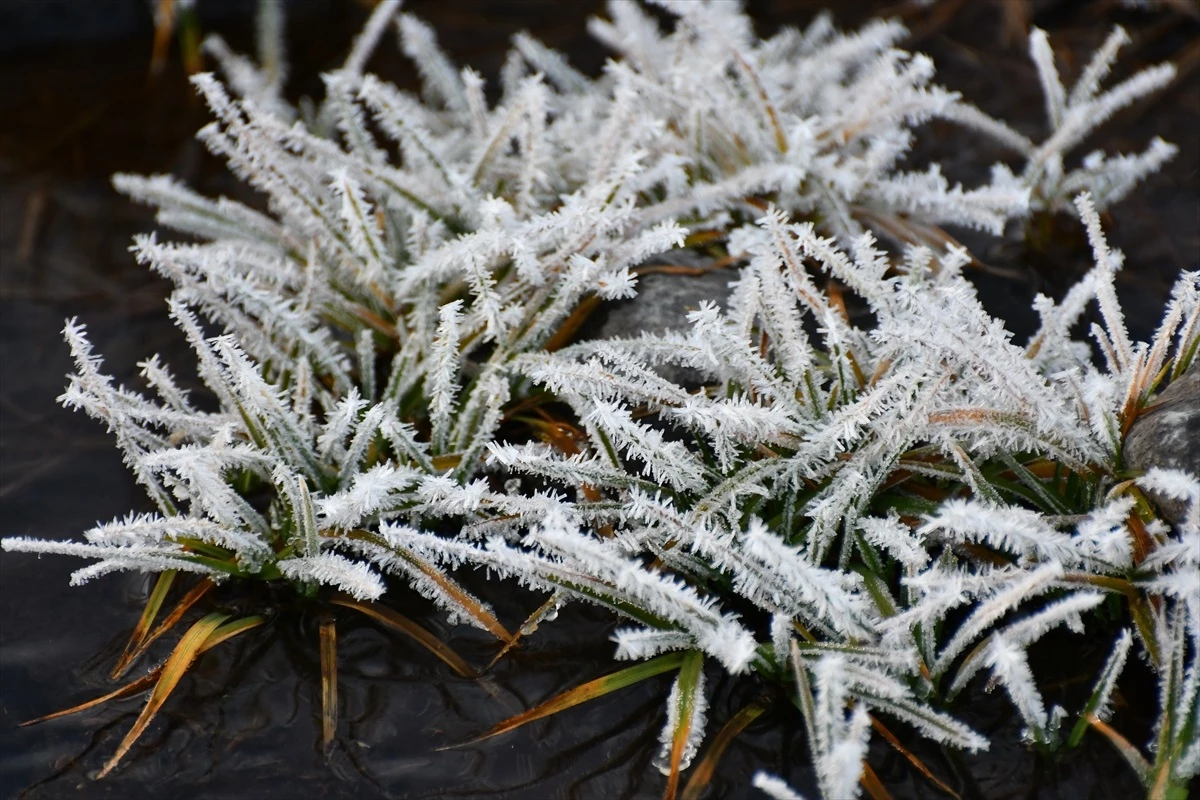 Ardahan'da Kar ve Sis Ulaşımda Aksamalara Neden Oluyor