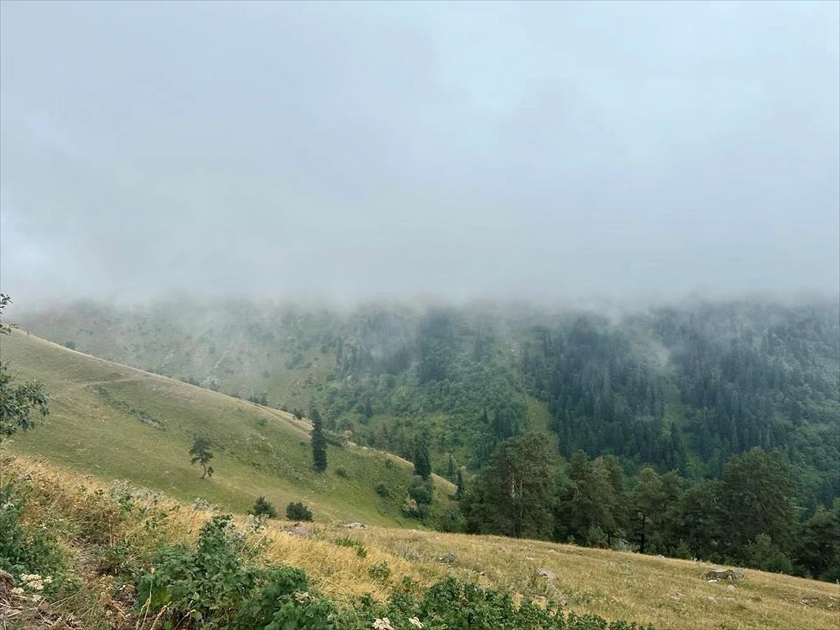 Ardahan'da sis etkili oldu