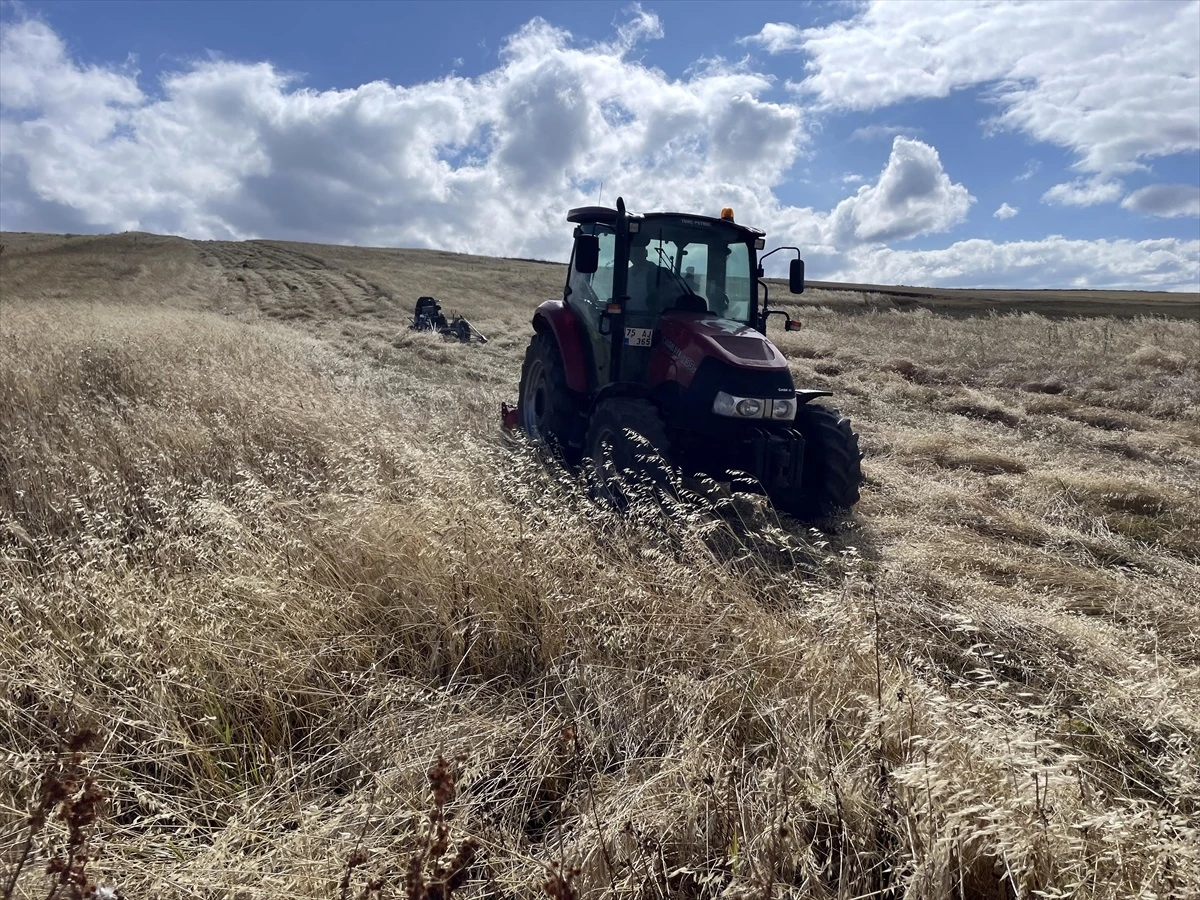 Ardahan'da Üretim Yapan Çiftçilerle Sahada Görüşen Uzmanlar Veri Tabanı Oluşturuyor