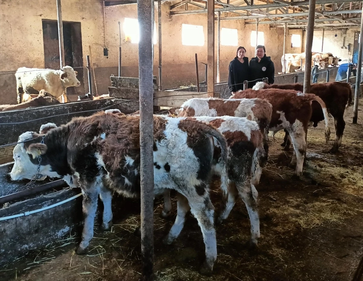 Ardahanlı 14 Uzman Üreticiye 3,5 Milyon Lira Hibe Desteği Verildi