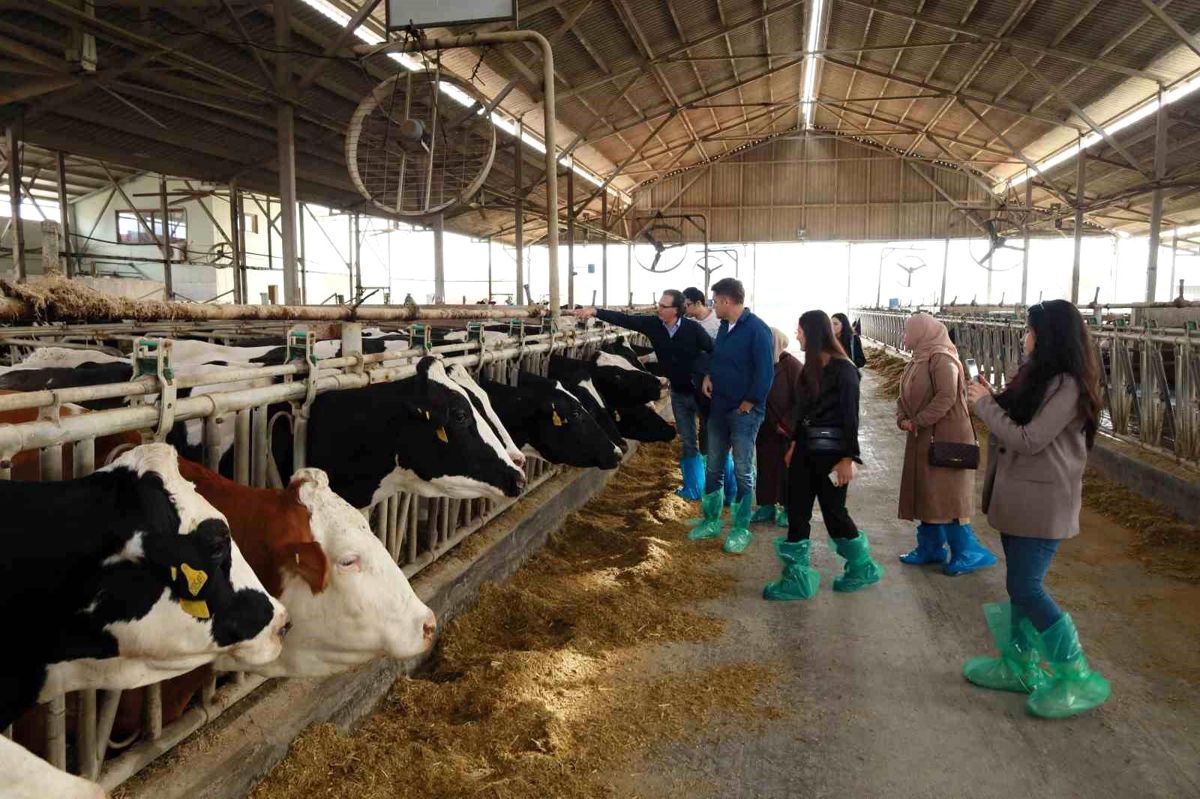 Ardahanlı Kadın Yetiştiriciler Muğla'da Süt İşletmelerini Gezdi