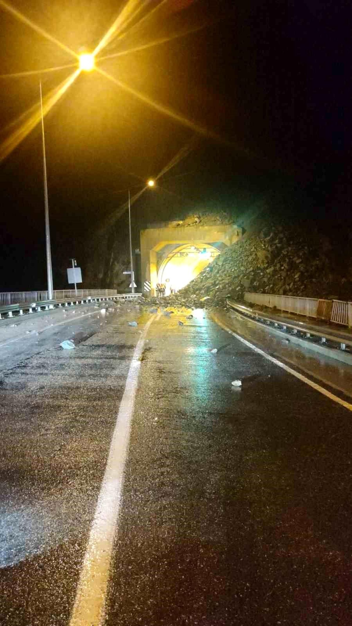 Artvin'de Sağanak Yağış Sonucu Heyelanlar Meydana Geldi