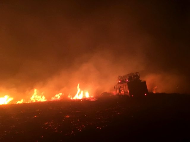 Avşa Adası'nda korkutan yangın