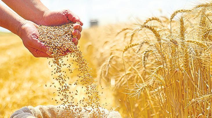 Bakan Yumaklı: Türkiye tohumda kendine yetiyor, İsrail’den tek bir tohum almıyoruz