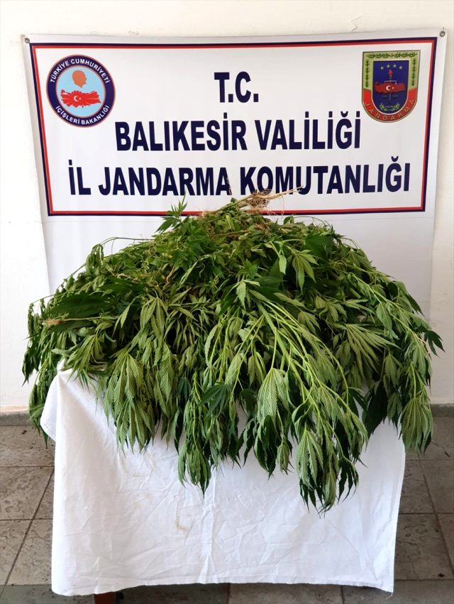 Balıkesir'de uyuşturucu operasyonları