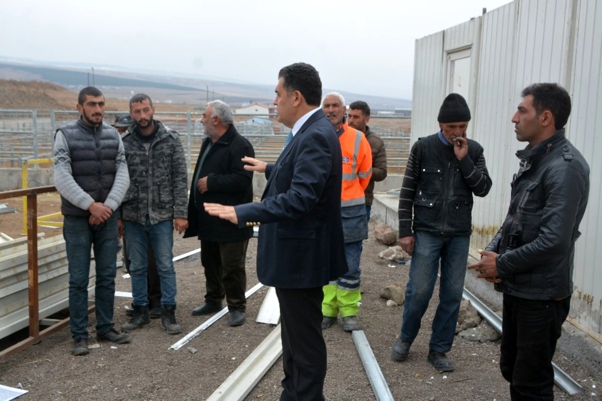 Başkan Demir, hayvan pazarında devam eden çalışmaları inceledi