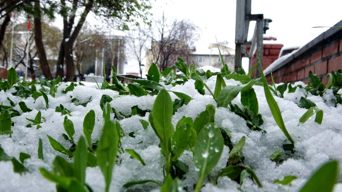 Batıda yaz Ardahan da kış