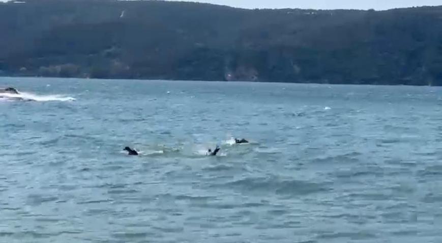 Beykoz'da tekne alabora oldu! 1 kişi hayatını kaybetti