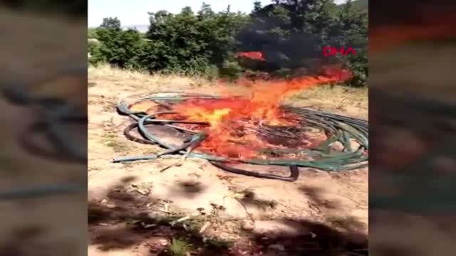 BİNGÖL'DE, 1 TON 280 KİLO ESRAR İLE 501 BİN 700 KÖK HİNT KENEVİRİ ELE GEÇİRİLDİ