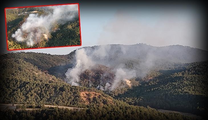 Bolu'da orman yangını! Ekipler havadan ve karadan müdahale ediyor
