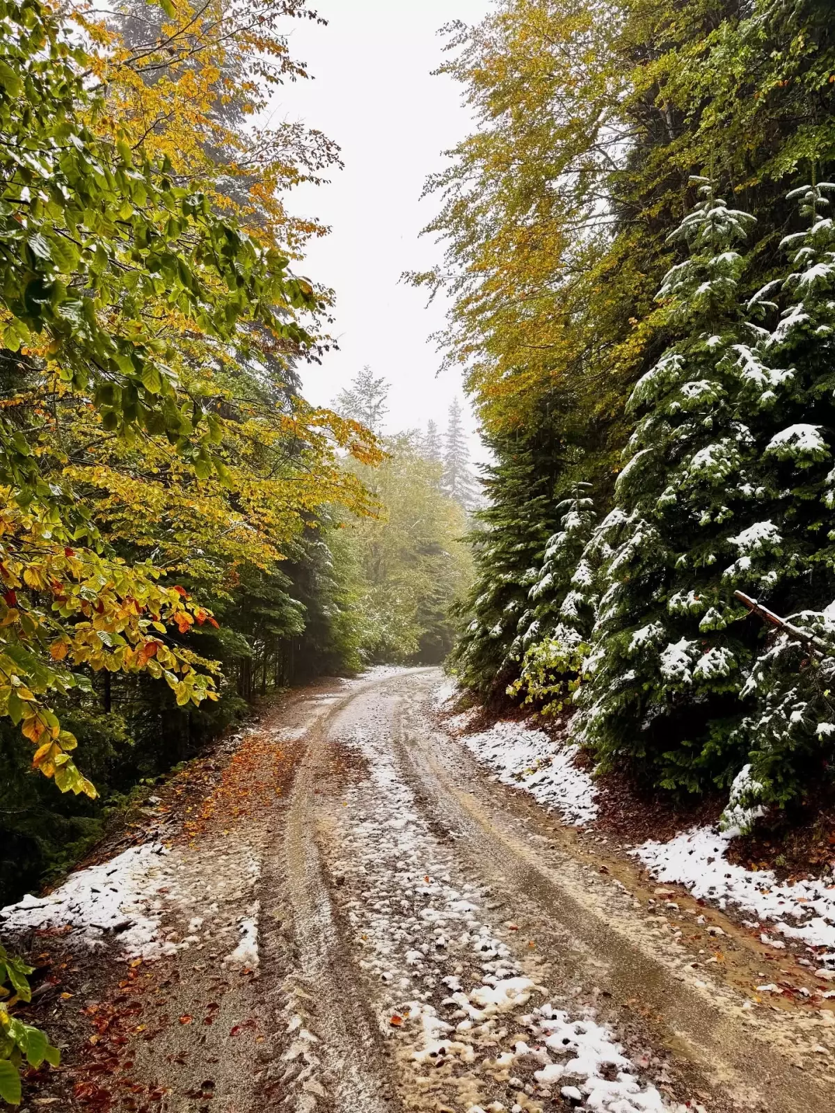 Bolu’nun yüksekleri beyaza büründü: At Yaylası’nda sezonun ilk karı yağdı