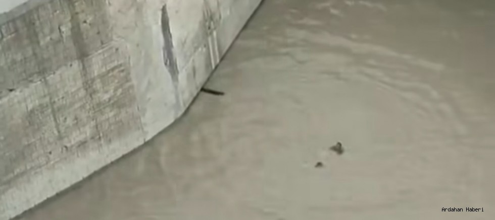 Borçka’da Mucize Kurtuluş: 11 Yaşındaki Eslem, Akıntıdan Son Anda Kurtarıldı