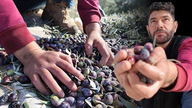 Çift kollu mucize: Her işimi kendi başıma yapabiliyorum
