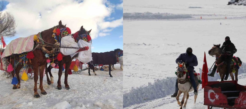 Çıldır Gölü’nde Kış Turizmi Yoğunluğu: Atlı Kızaklara Büyük İlgi
