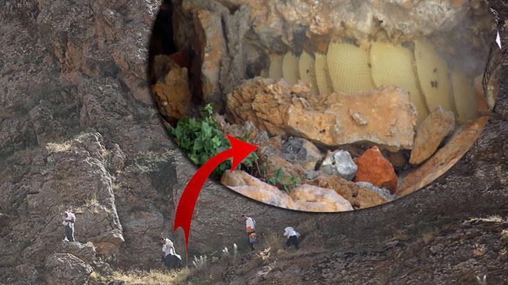 Dağda 11 yıl önce yerlerini tespit etti! Gece gündüz başında bekliyor