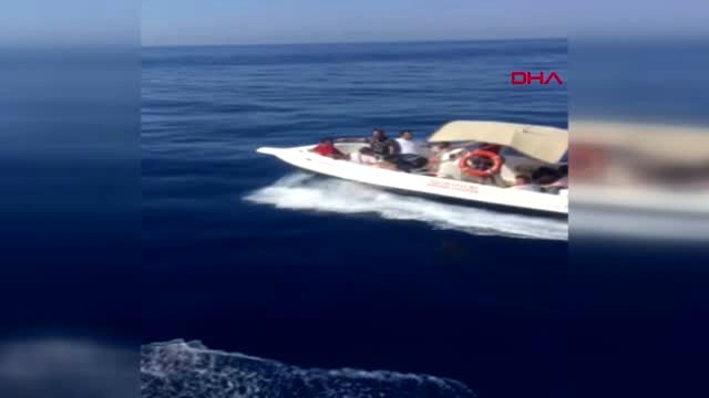 Datça'da 16 kaçak göçmen yakalandı