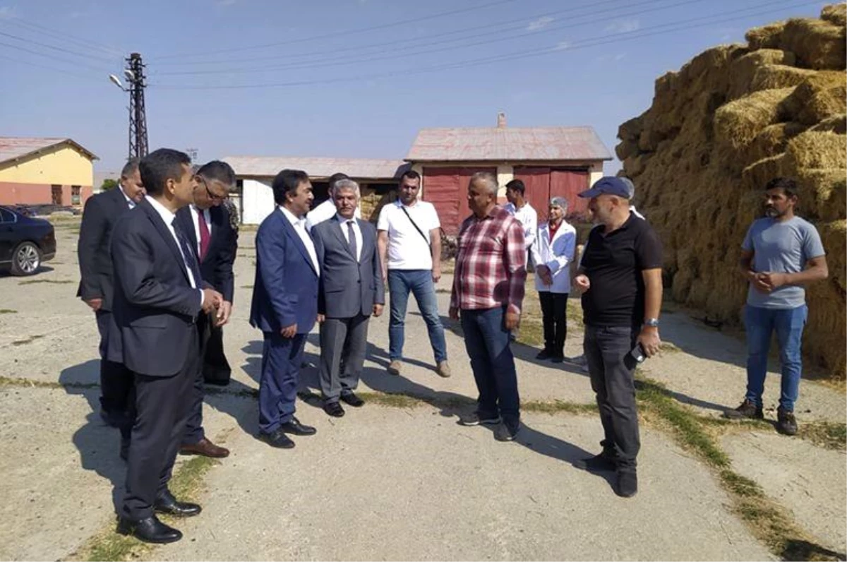 Doğu Anadolu Projesi (DAP) Bölge Kalkınma İdaresi Başkanlığı'ndan 2013-2023 yılları arasında 15 ilde bin 925 projeye destek